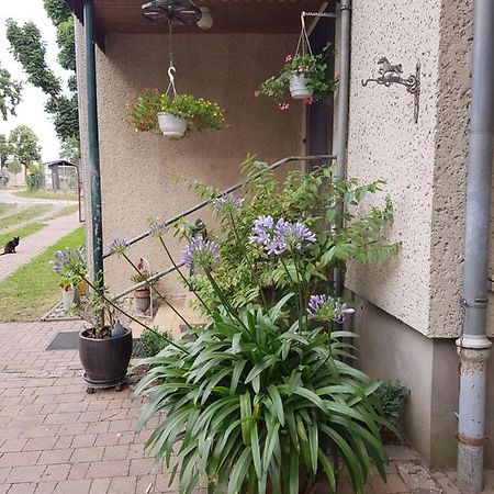 Ferienwohnung Siebmann Neuruppin Buitenkant foto