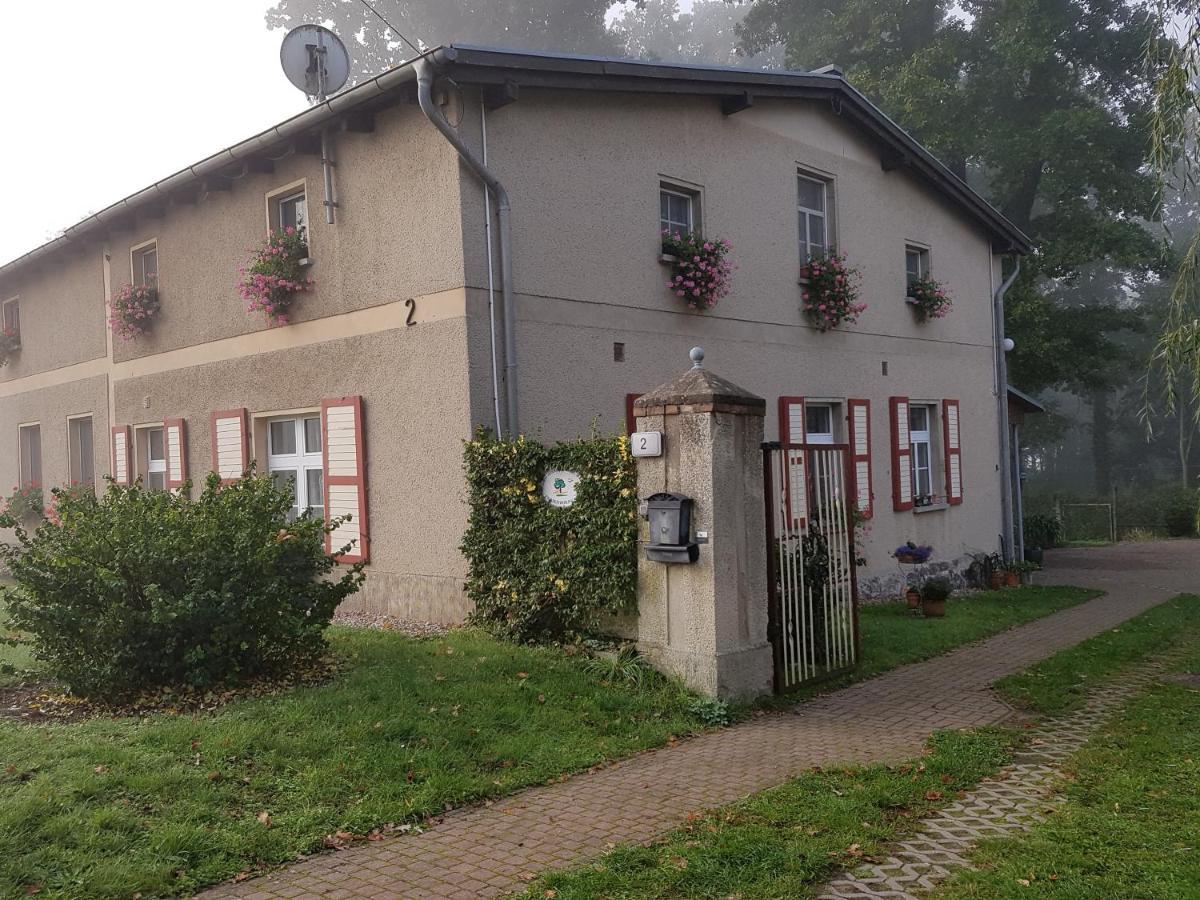 Ferienwohnung Siebmann Neuruppin Buitenkant foto