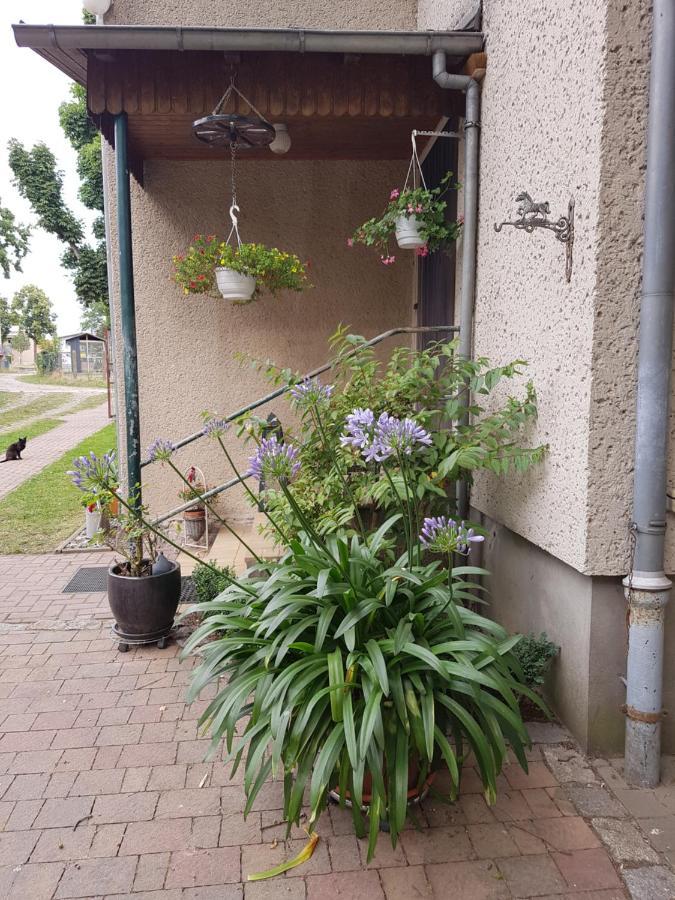 Ferienwohnung Siebmann Neuruppin Buitenkant foto