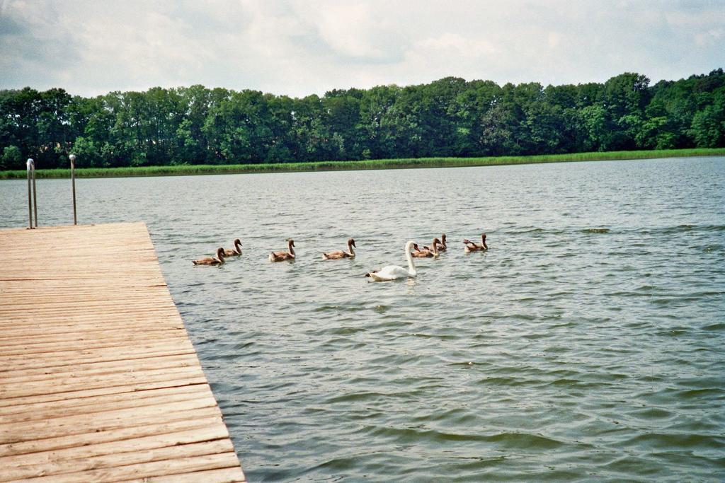 Ferienwohnung Siebmann Neuruppin Kamer foto